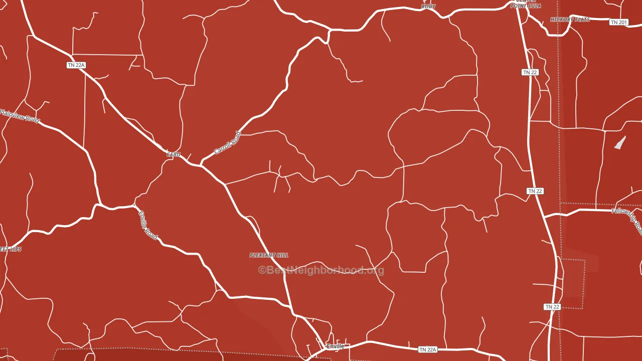 Enville, TN block-group political-lean map