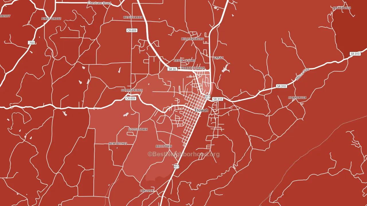 Etowah, TN block-group political-lean map
