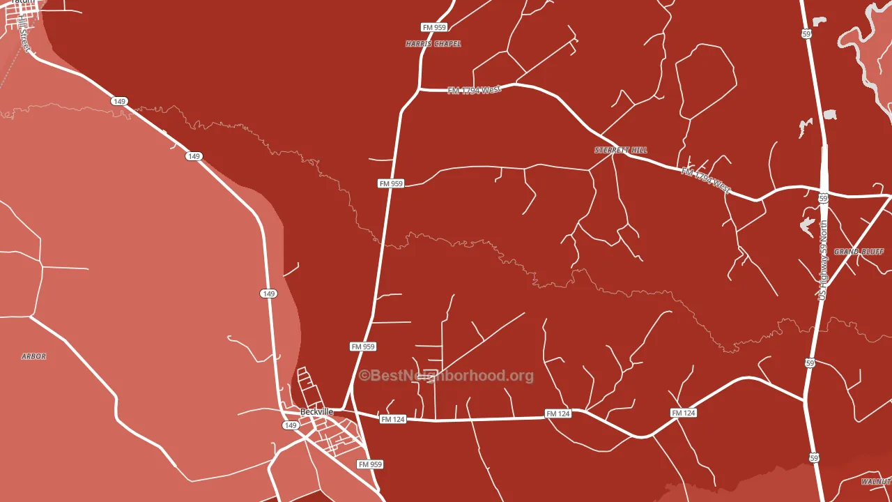 Fair Play, TX block-group political-lean map