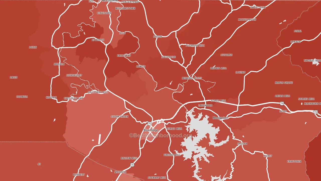 Fannin County, GA block-group political-lean map