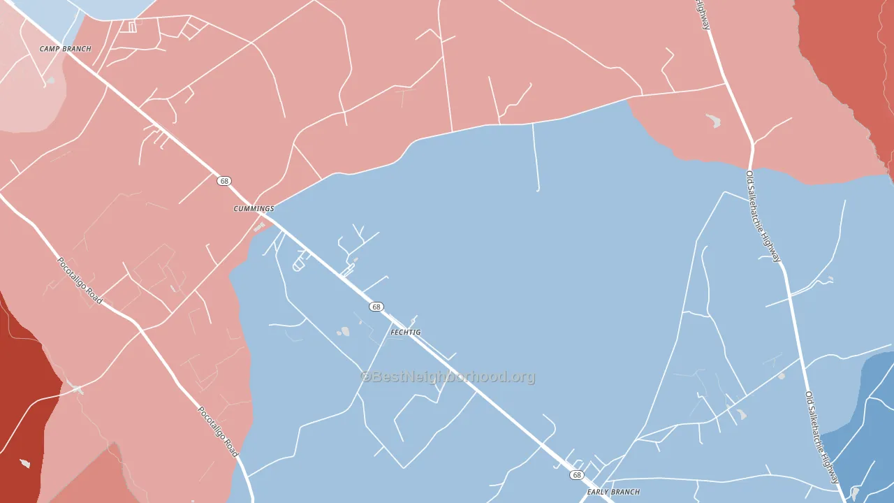 Fechtig, SC block-group political-lean map