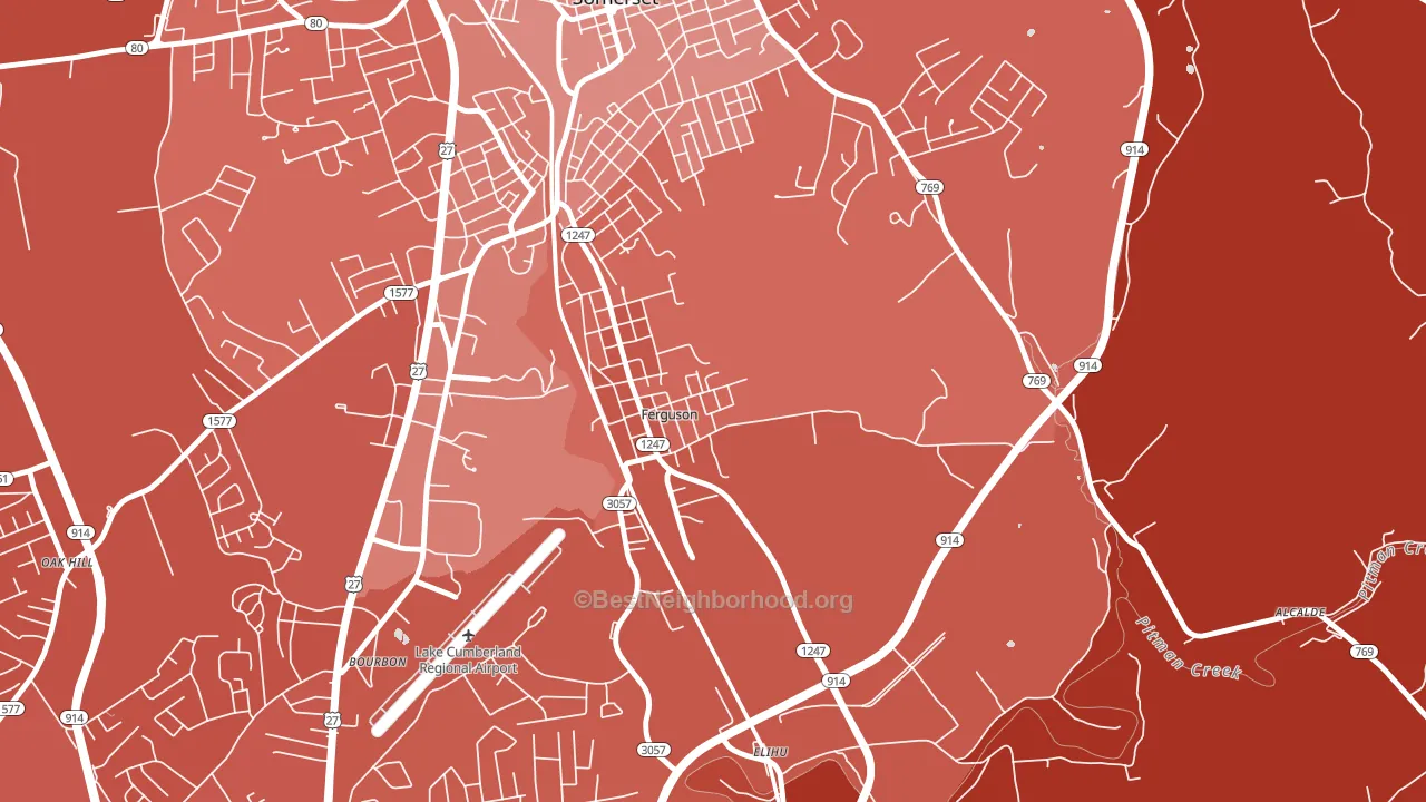 Ferguson, KY block-group political-lean map
