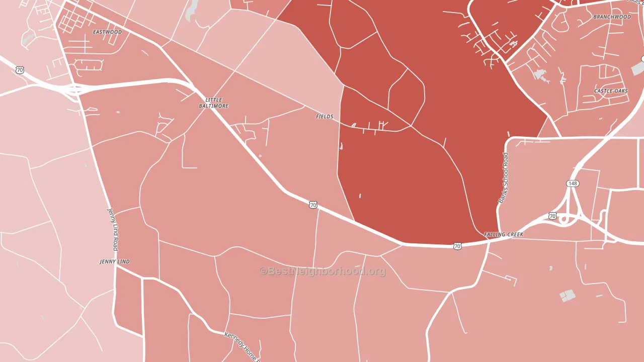 Fields, NC block-group political-lean map