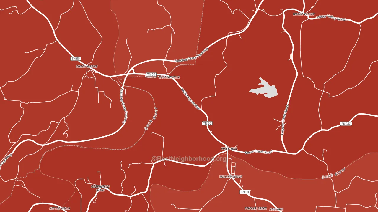 Fikes Mill, TN block-group political-lean map