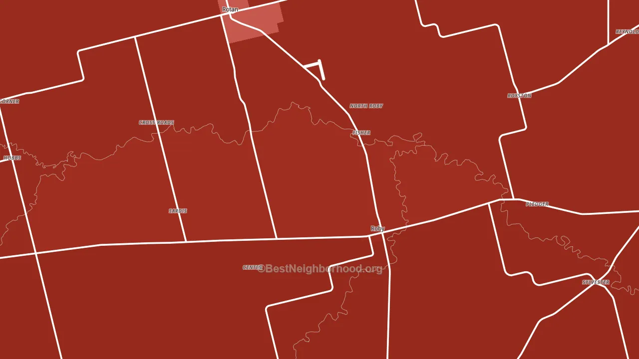 Fisher County, TX block-group political-lean map