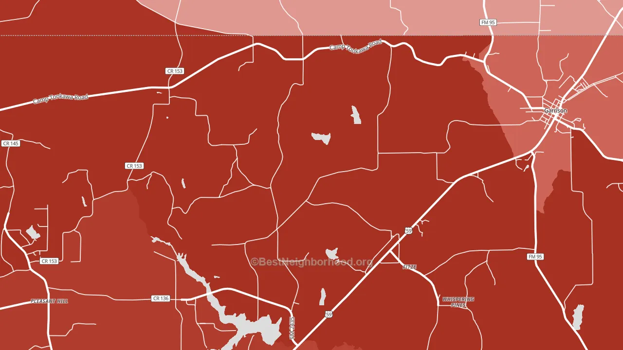 Fitze, TX block-group political-lean map