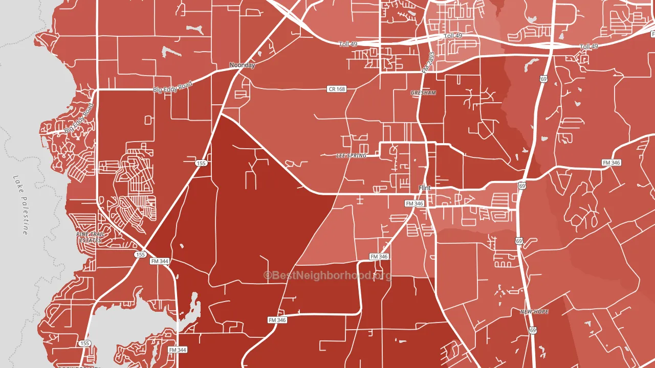 Flint, TX block-group political-lean map