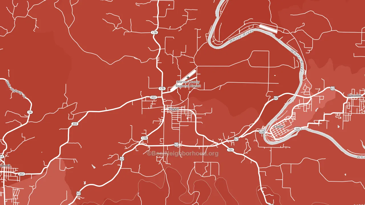 Flippin, AR block-group political-lean map