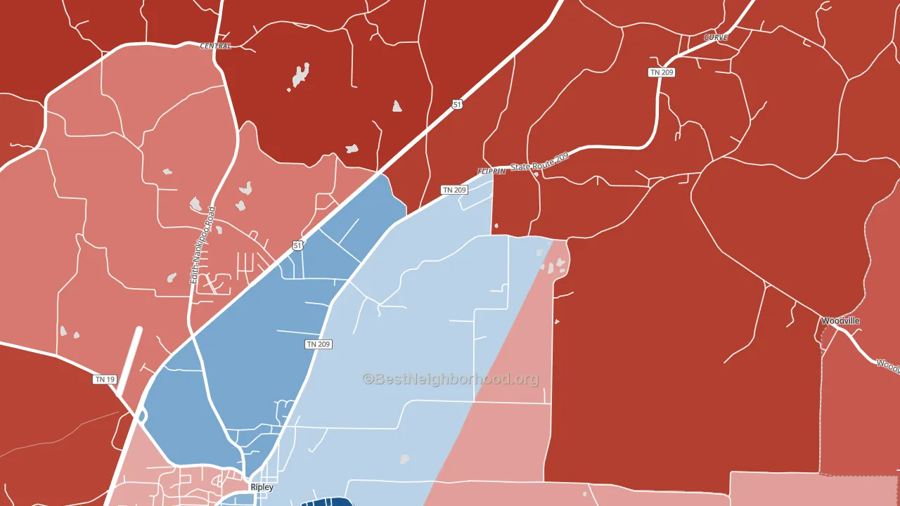 Flippin, TN block-group political-lean map