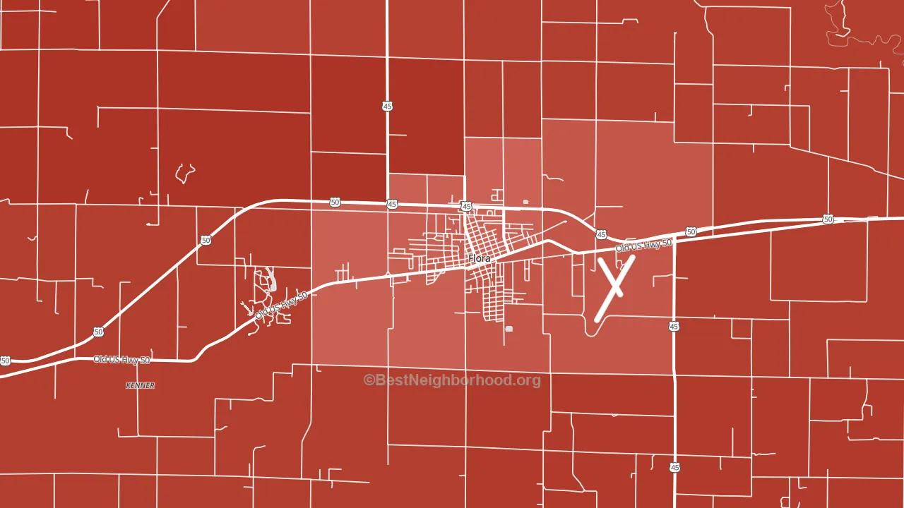 Flora, IL block-group political-lean map