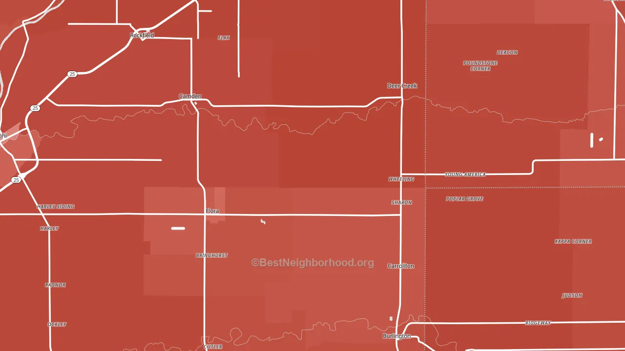 Flora, IN block-group political-lean map