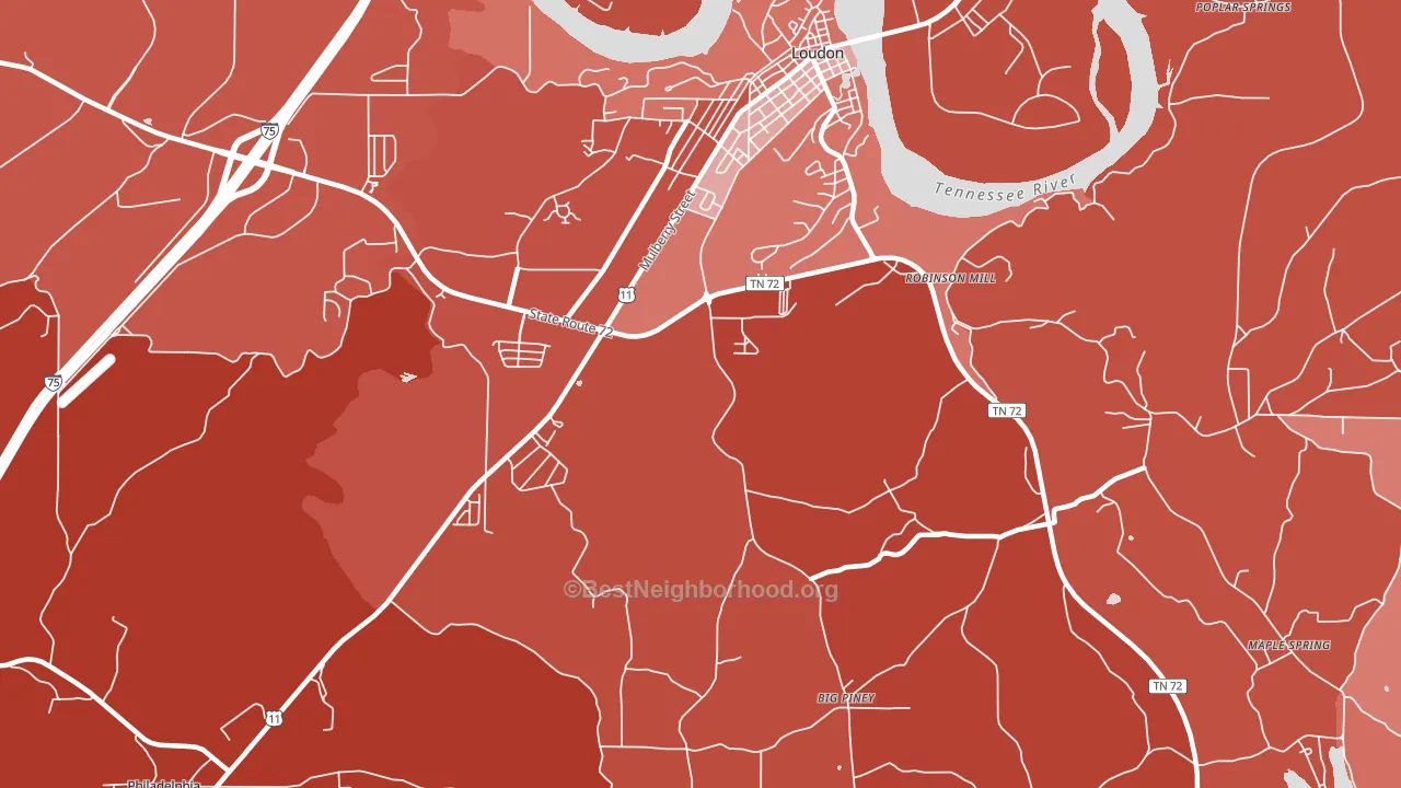 Fochee, TN block-group political-lean map