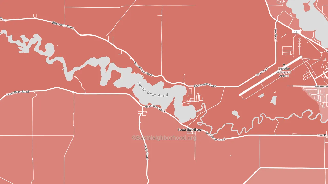 Foote Site Village, MI block-group political-lean map