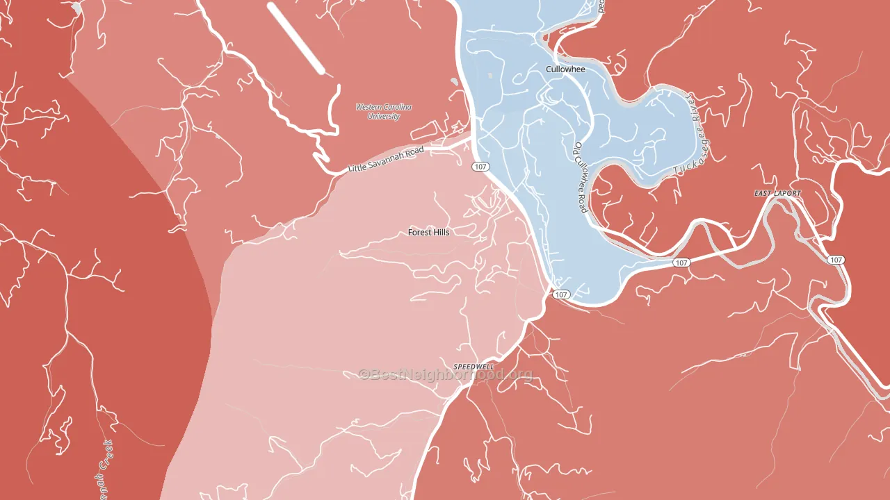 Forest Hills, NC block-group political-lean map