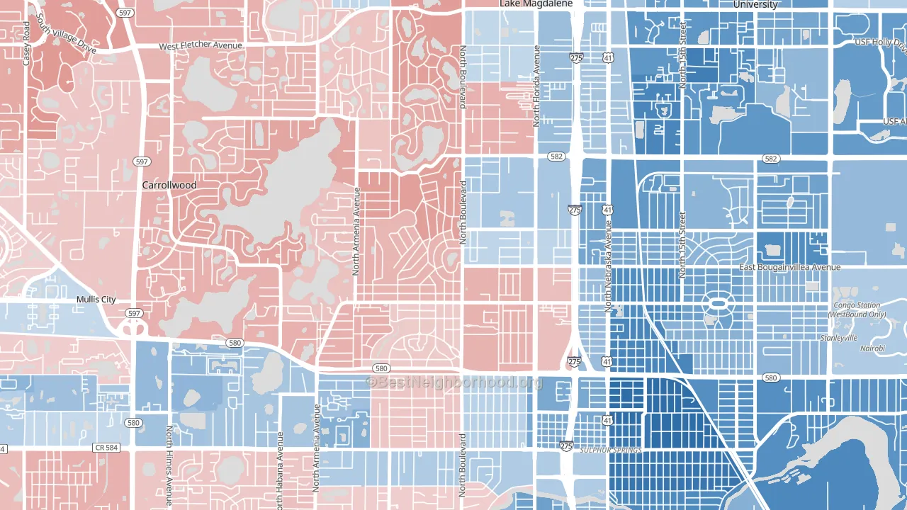 Forest Hills, Tampa, FL block-group political-lean map