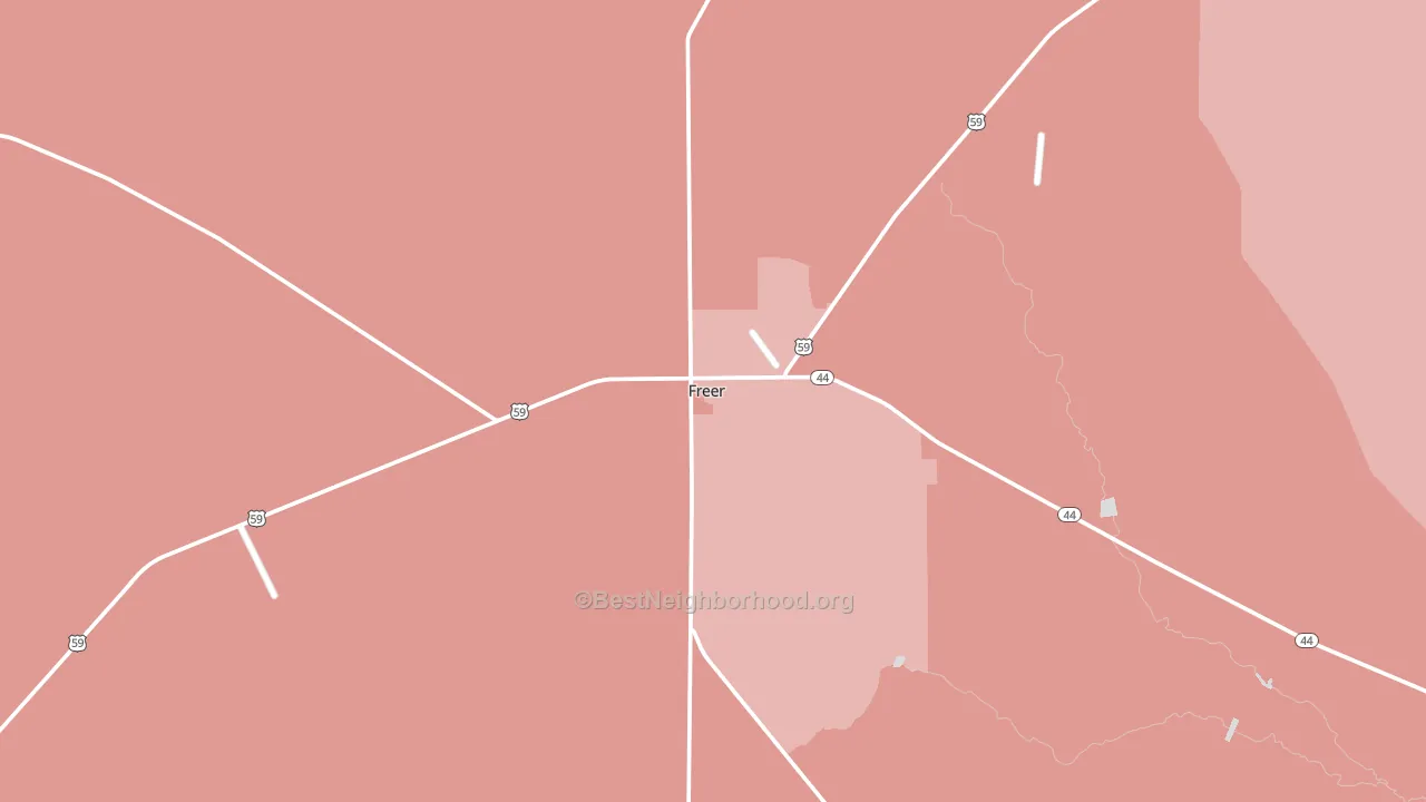 Freer, TX block-group political-lean map