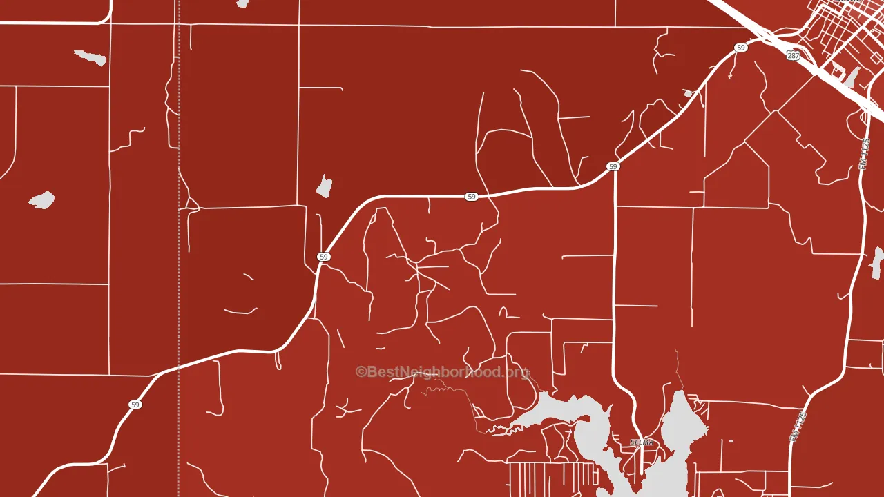 Fruitland, TX block-group political-lean map