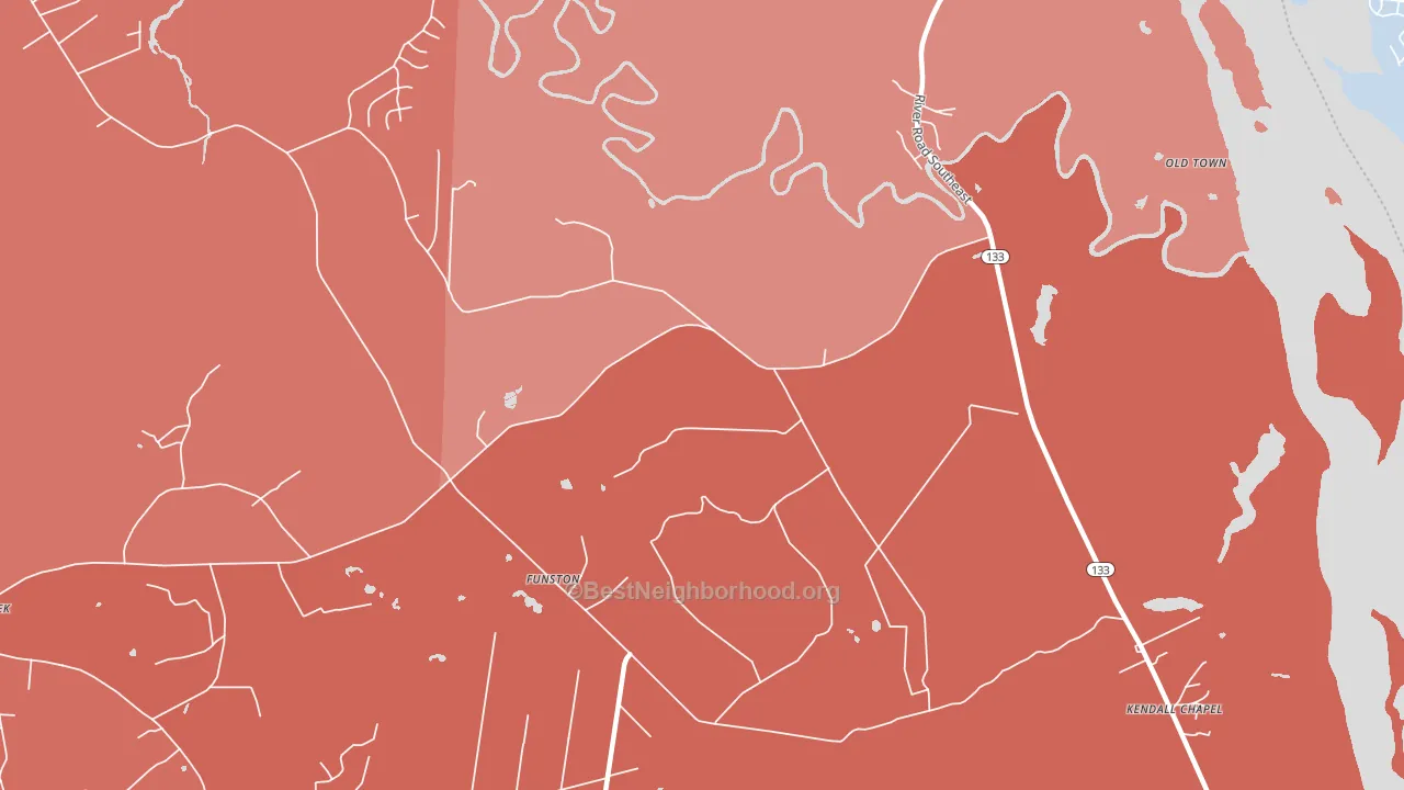 Funston, NC block-group political-lean map