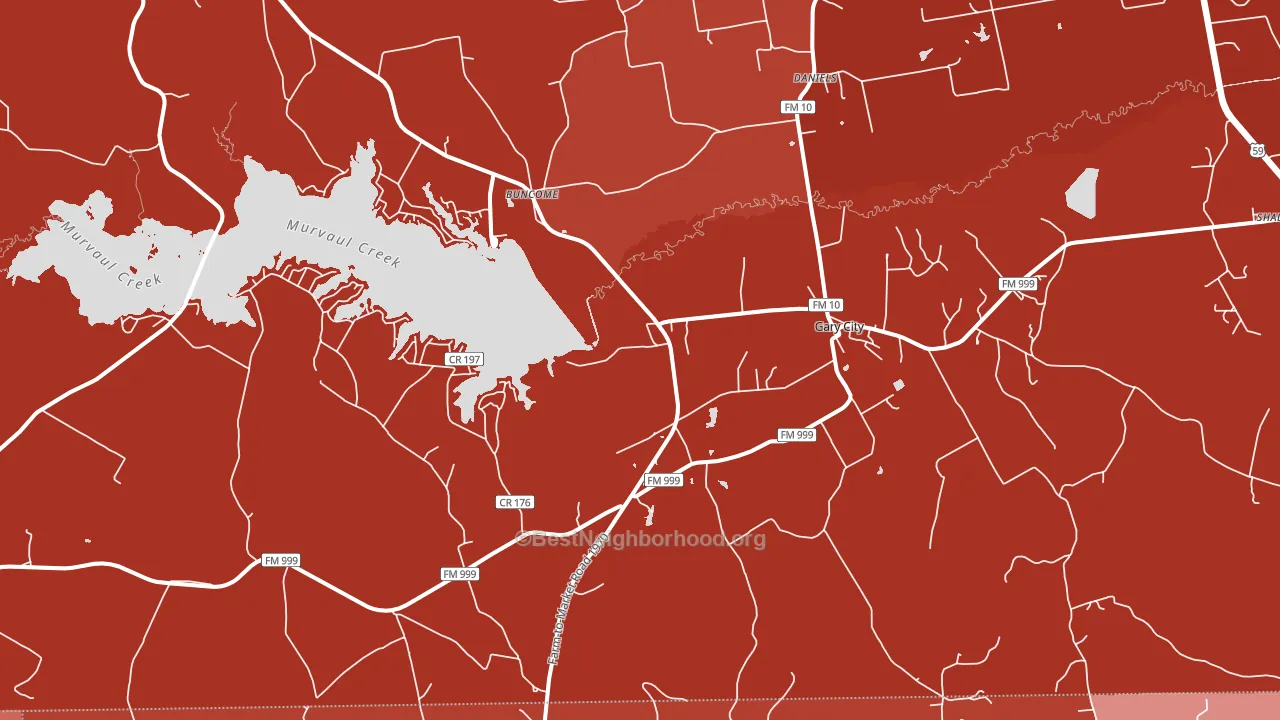 Gary, TX block-group political-lean map