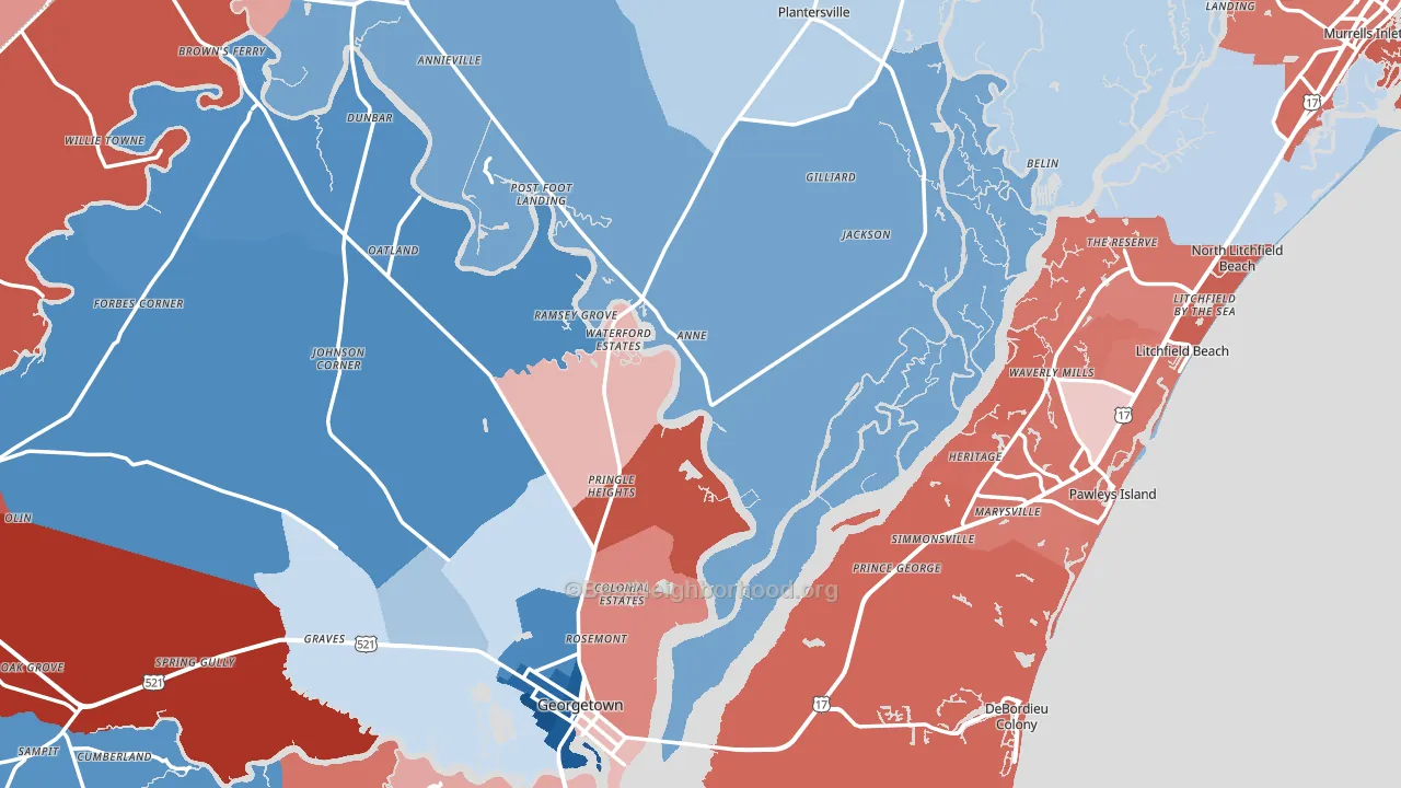 Georgetown County, SC block-group political-lean map