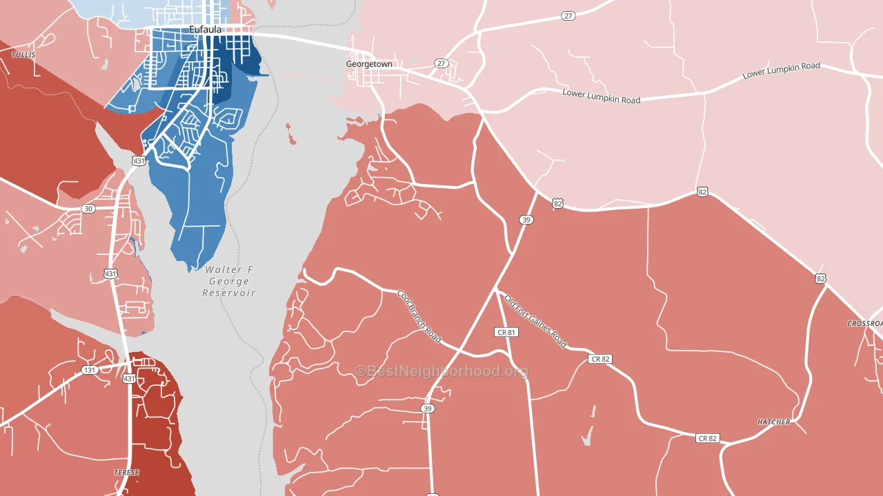 Georgetown, GA block-group political-lean map