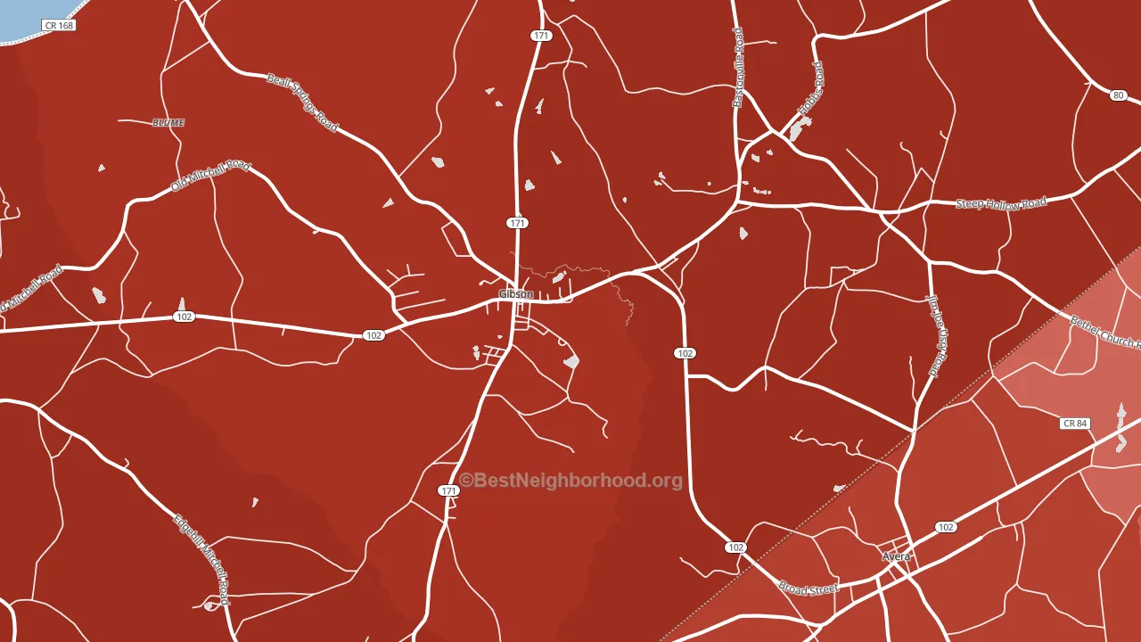 Gibson, GA block-group political-lean map