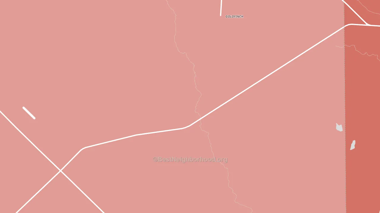 Goldfinch, TX block-group political-lean map