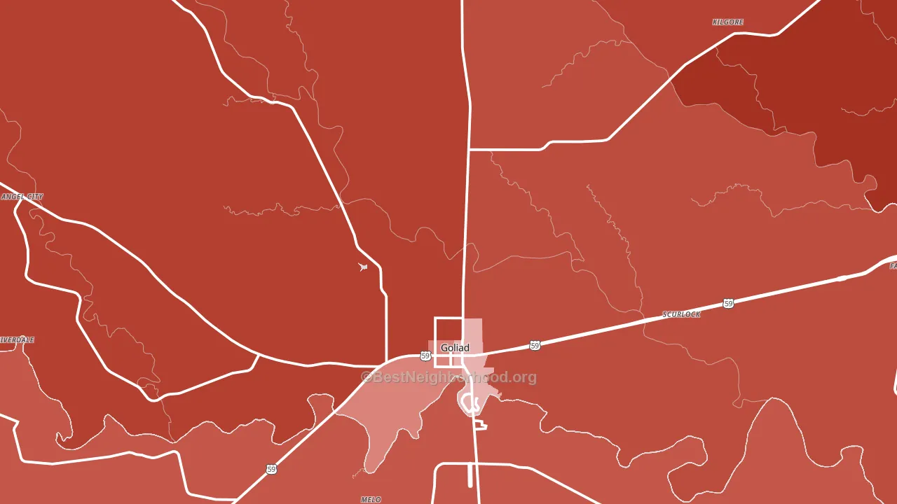 Goliad, TX block-group political-lean map