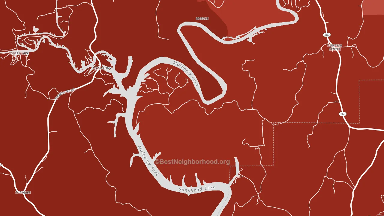 Gorgas, AL block-group political-lean map