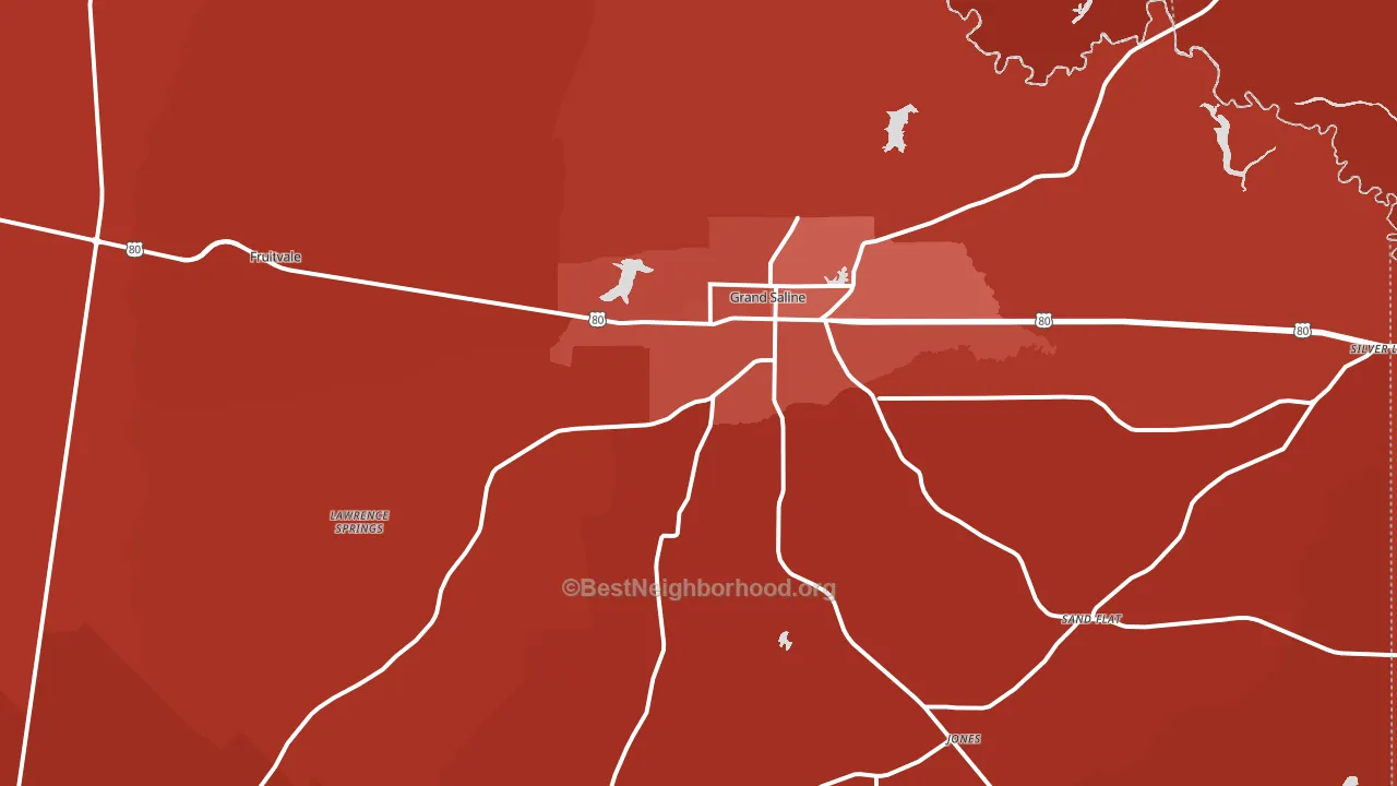 Grand Saline, TX block-group political-lean map