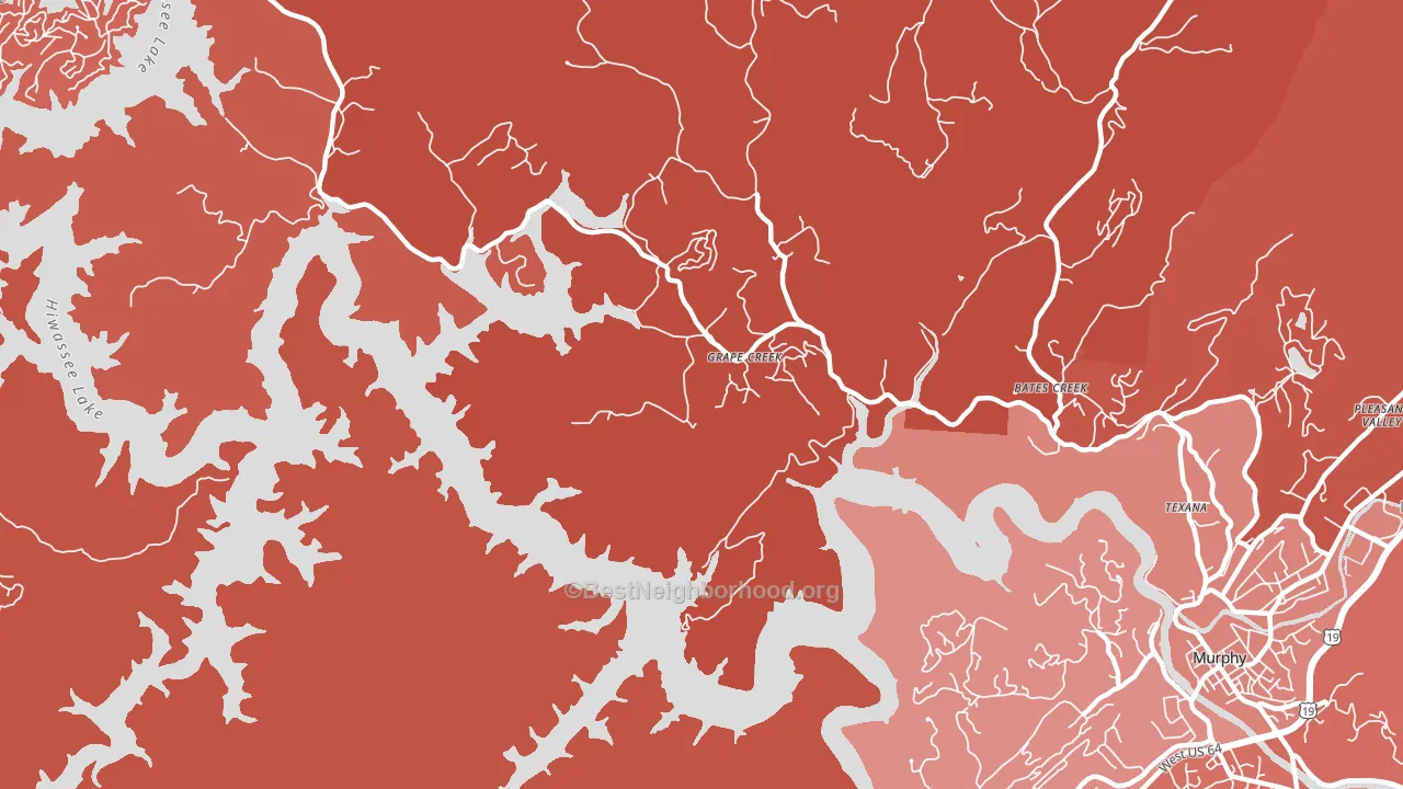 Grape Creek, NC block-group political-lean map