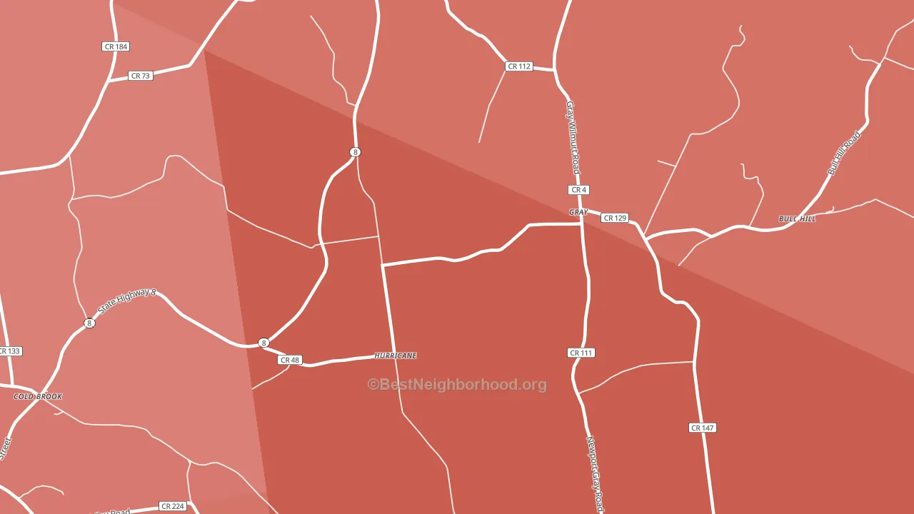 Gray, NY block-group political-lean map