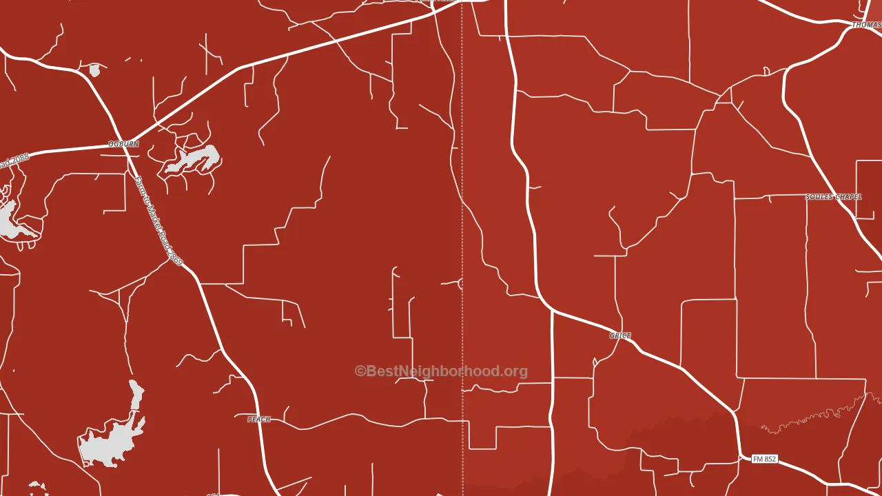 Grice, TX block-group political-lean map