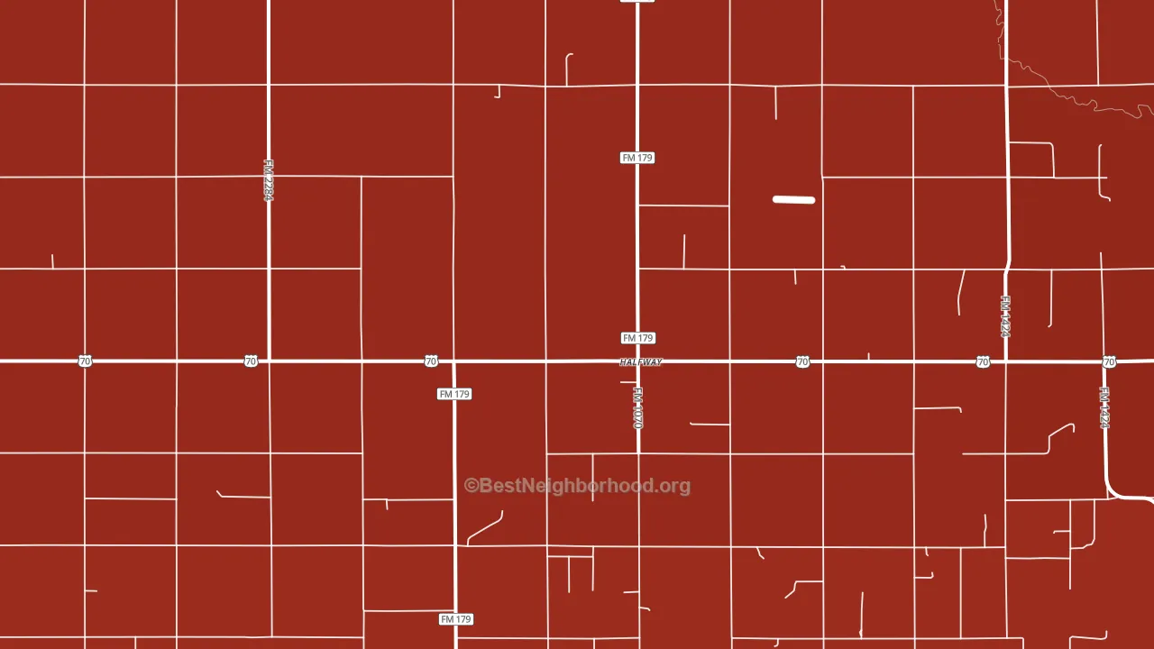 Halfway, TX block-group political-lean map