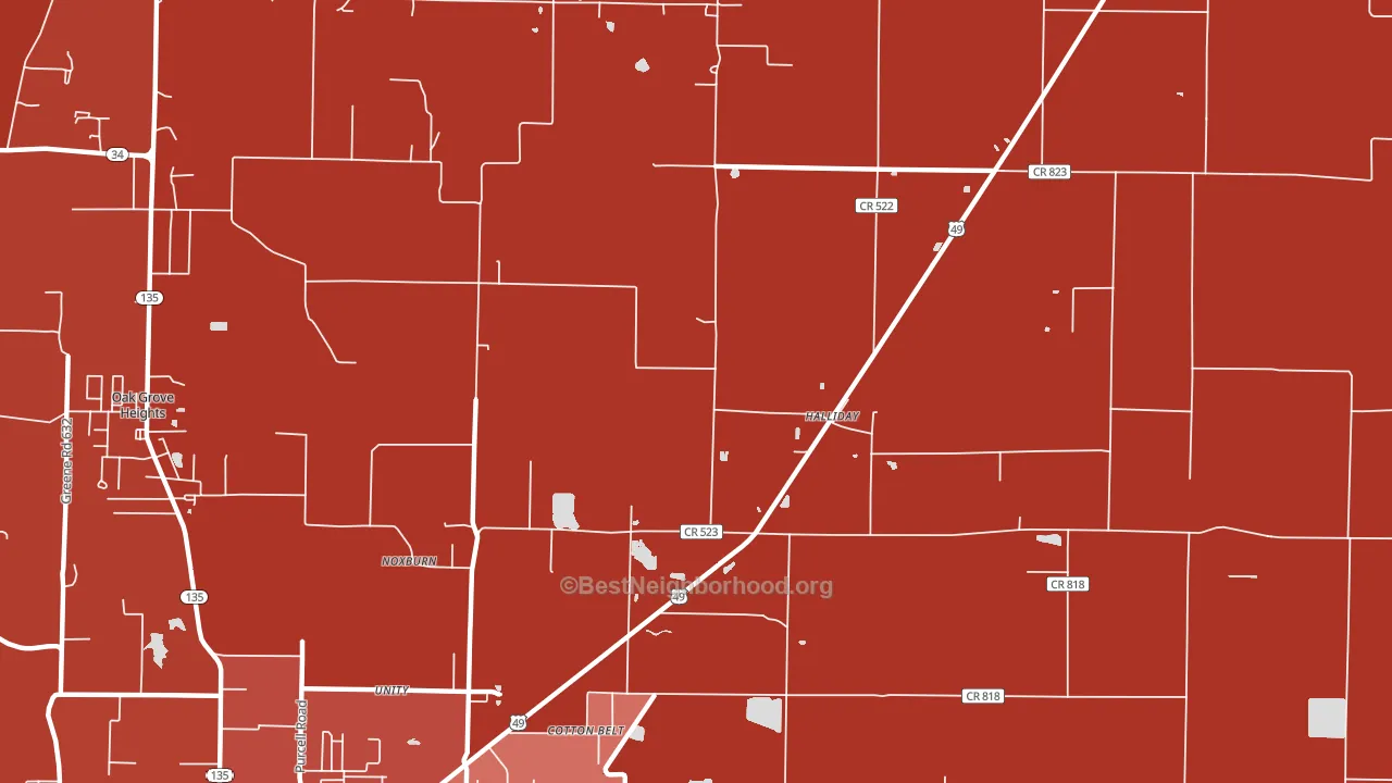Halliday, AR block-group political-lean map