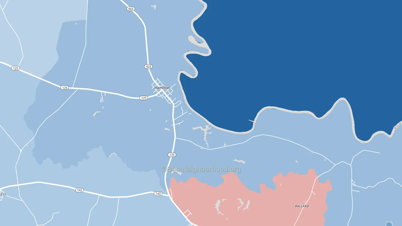 Hamilton, NC block-group political-lean map