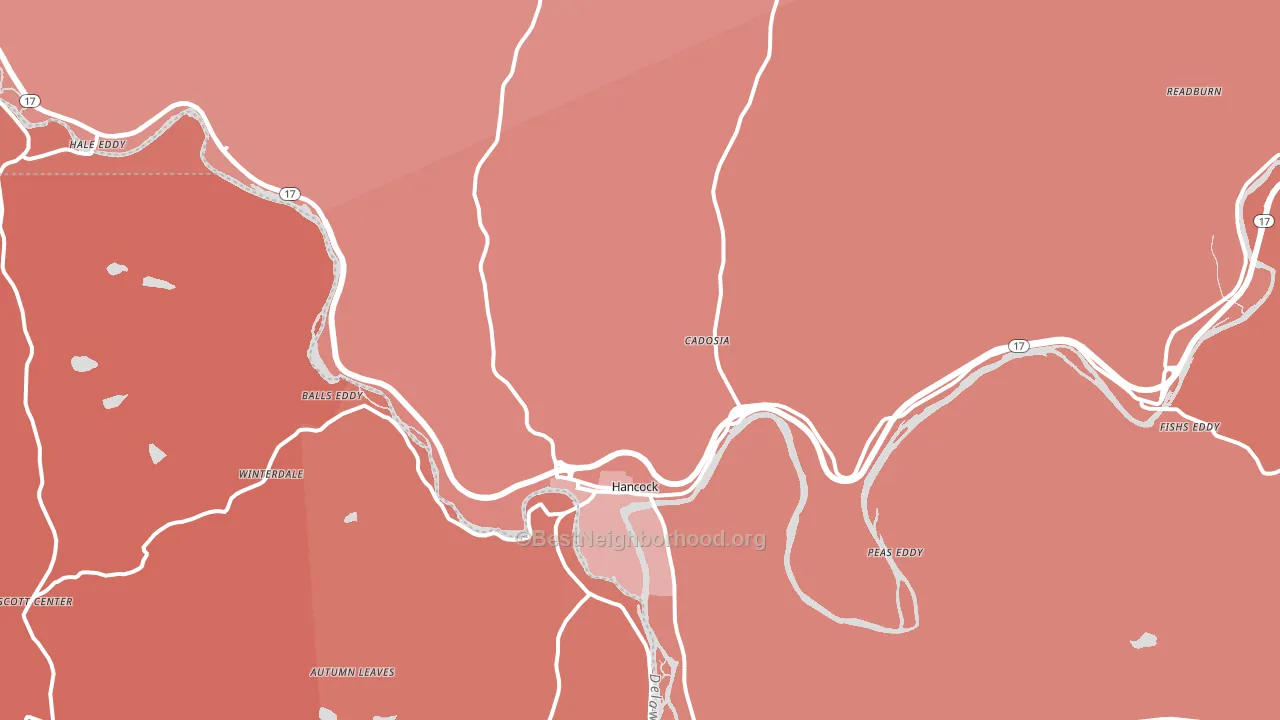 Hancock, NY block-group political-lean map