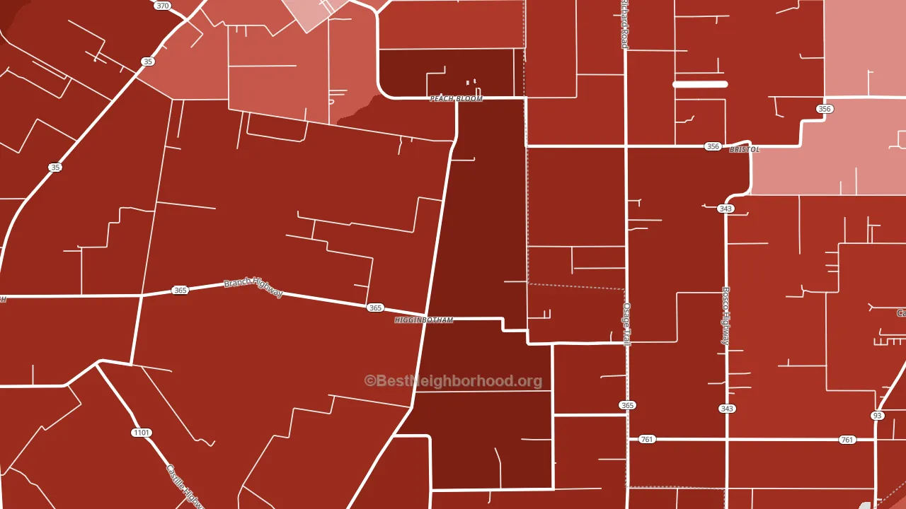 Higginbotham, LA block-group political-lean map