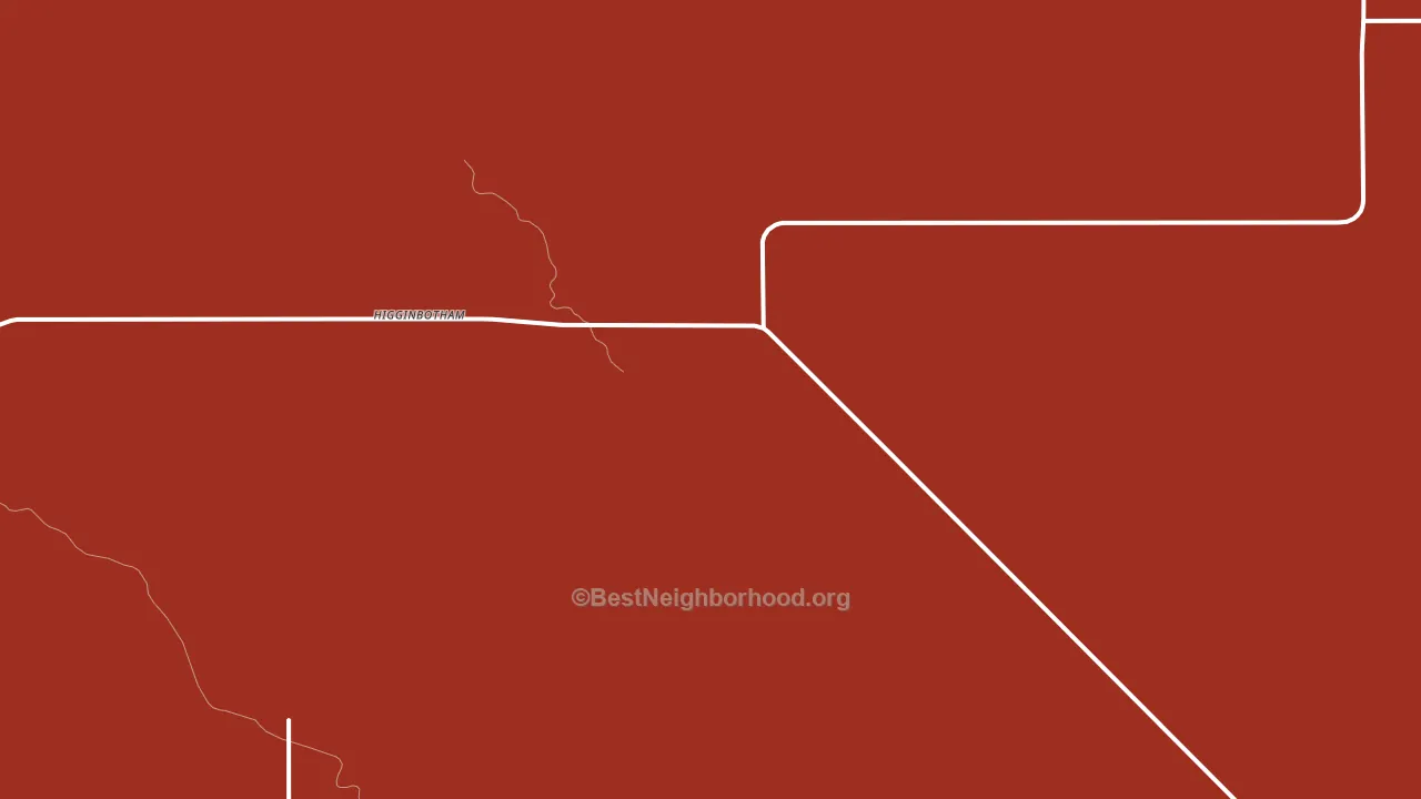 Higginbotham, TX block-group political-lean map