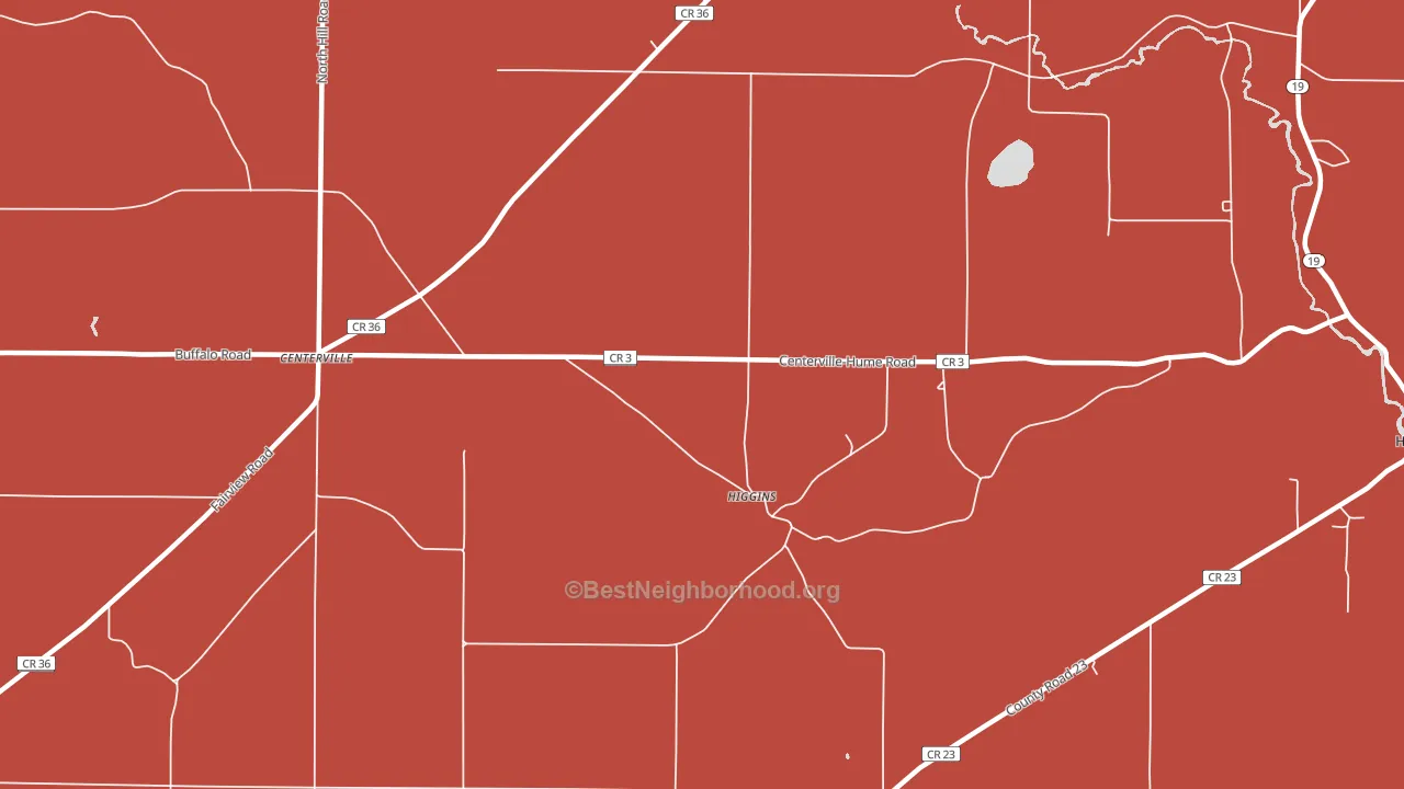 Higgins, NY block-group political-lean map