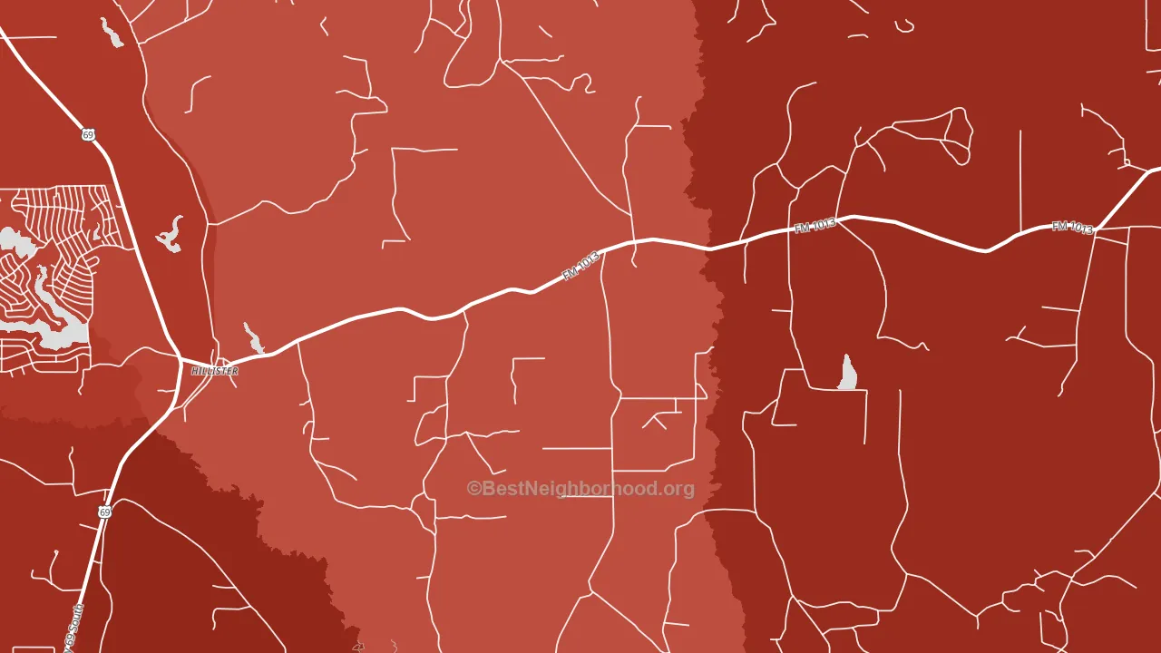 Hillister, TX block-group political-lean map