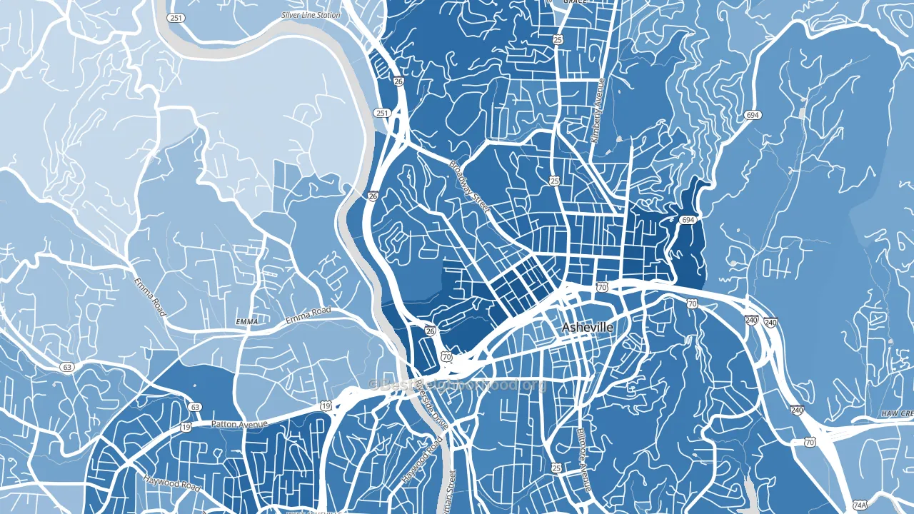Historic Montford, Asheville, NC block-group political-lean map