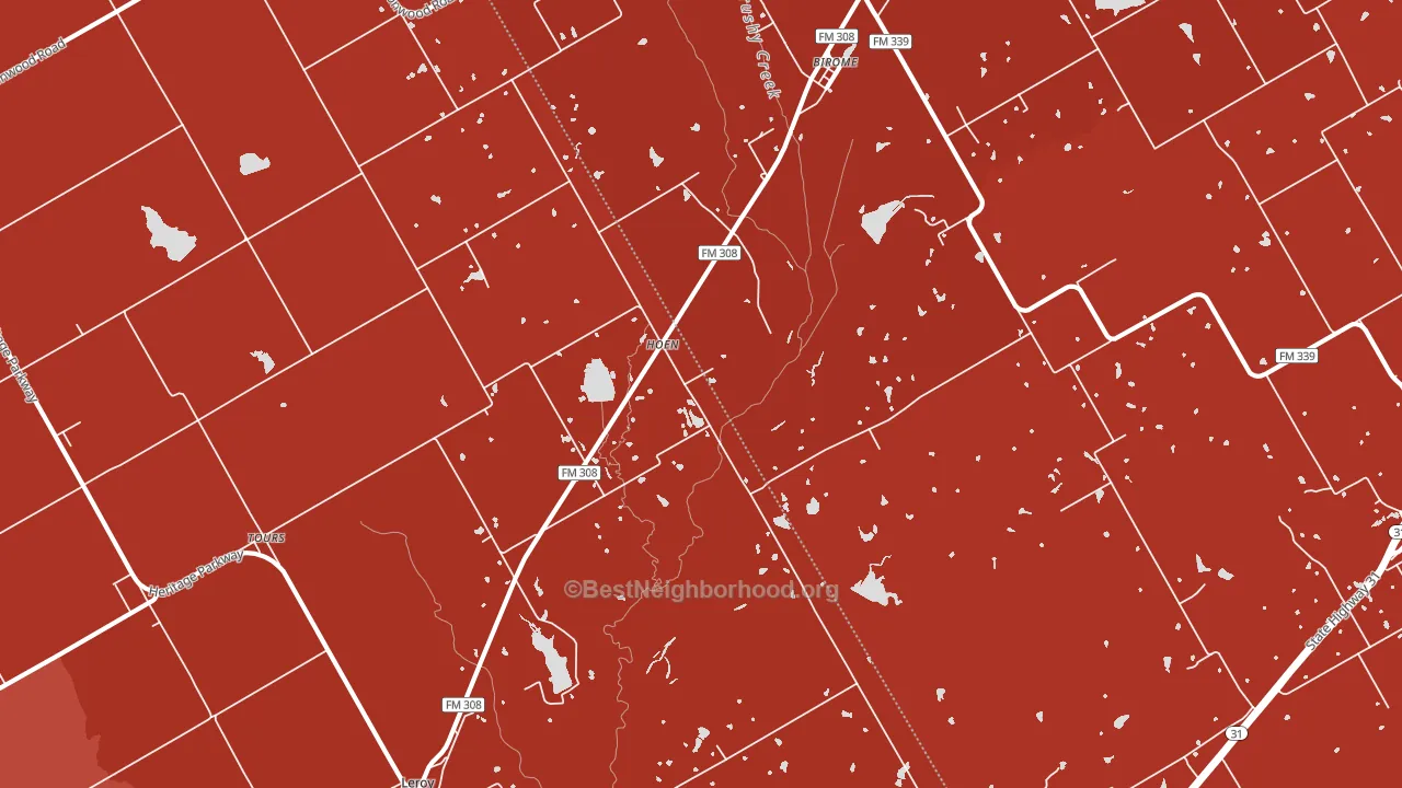 Hoen, TX block-group political-lean map