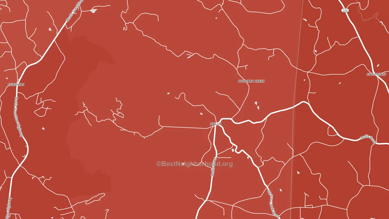 Hollis, NC block-group political-lean map