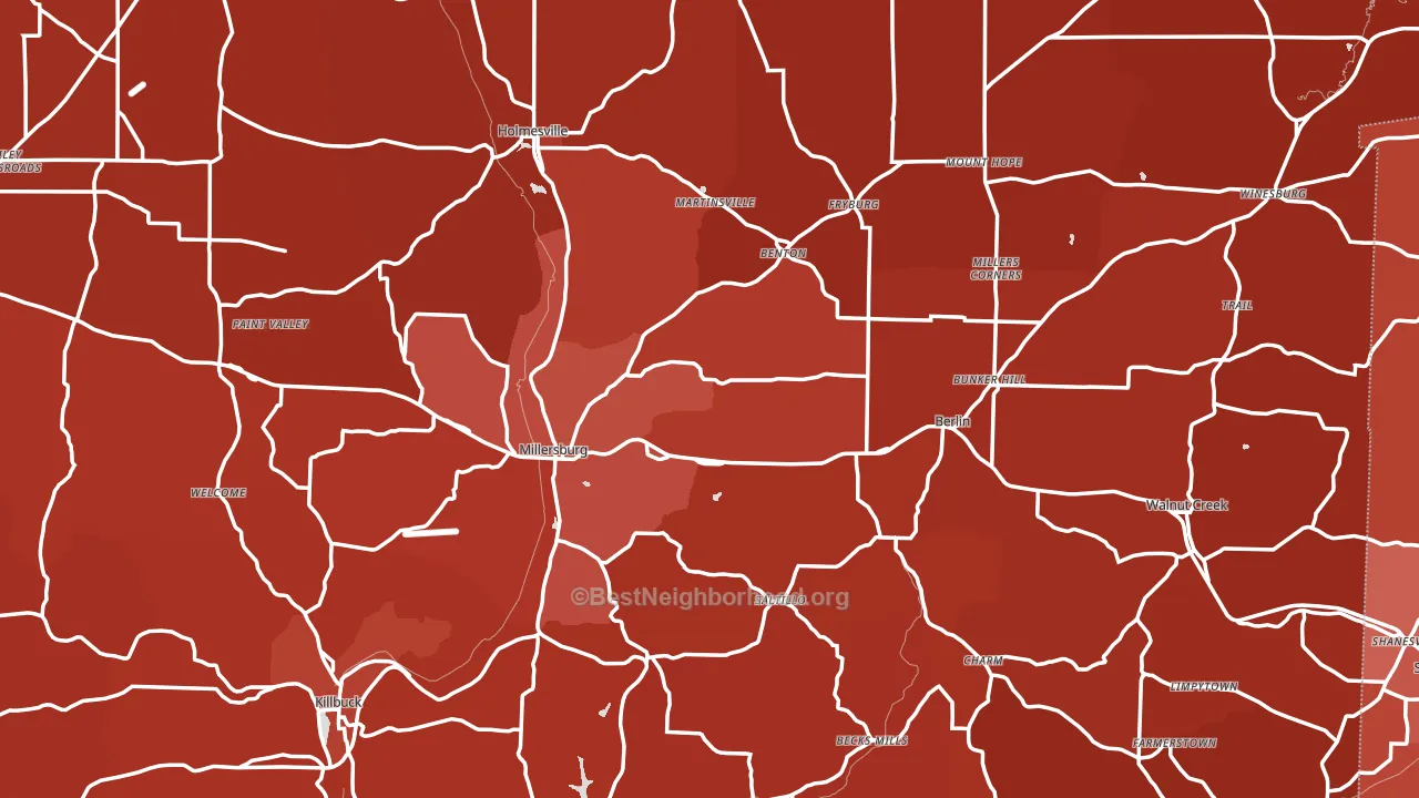 Holmes County, OH block-group political-lean map