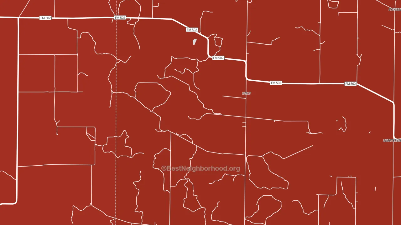 Holt, TX block-group political-lean map