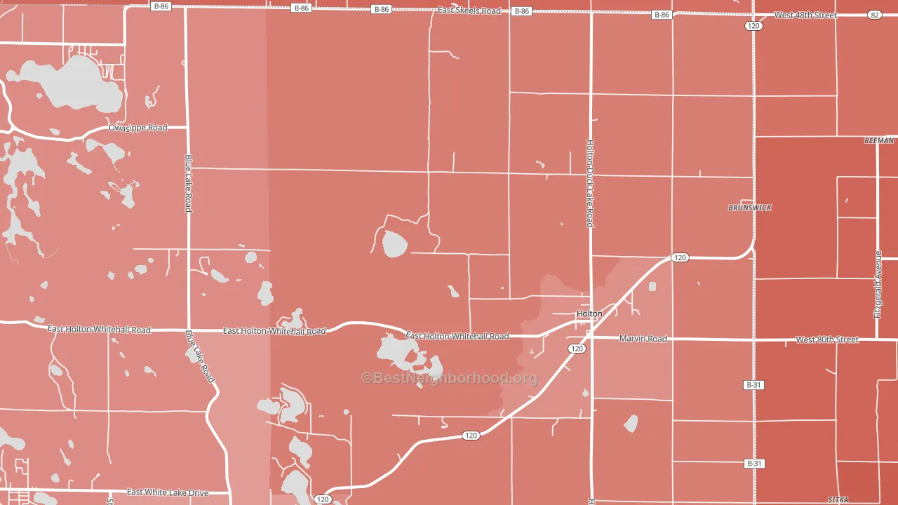 Holton, MI block-group political-lean map