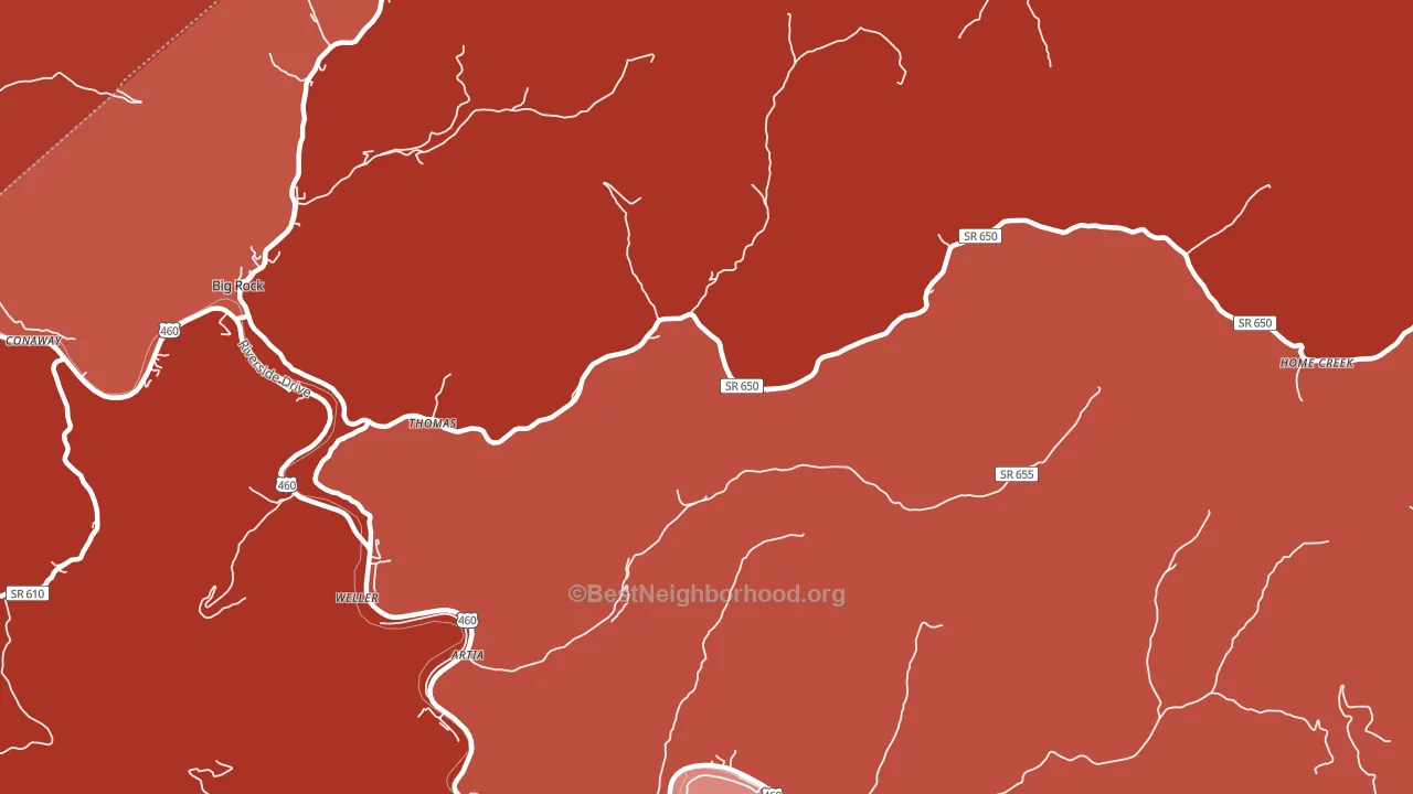 Home Creek, VA block-group political-lean map
