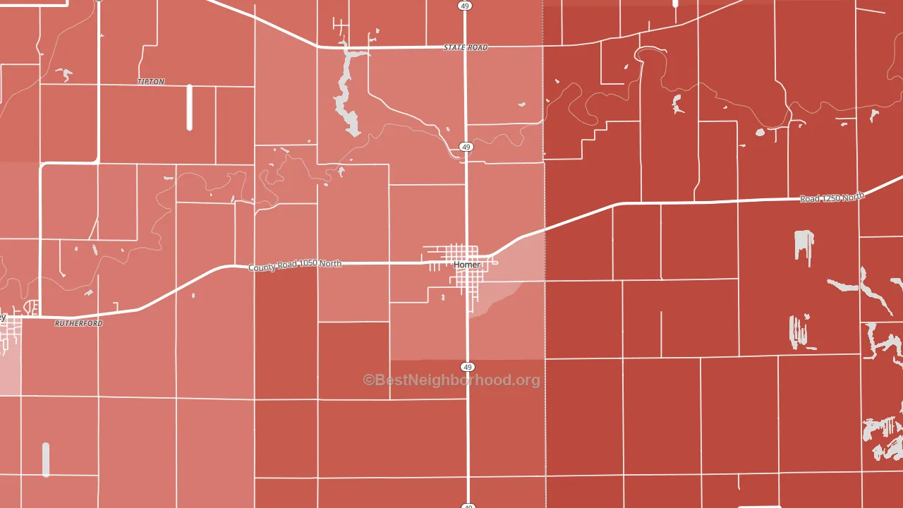 Homer, IL block-group political-lean map