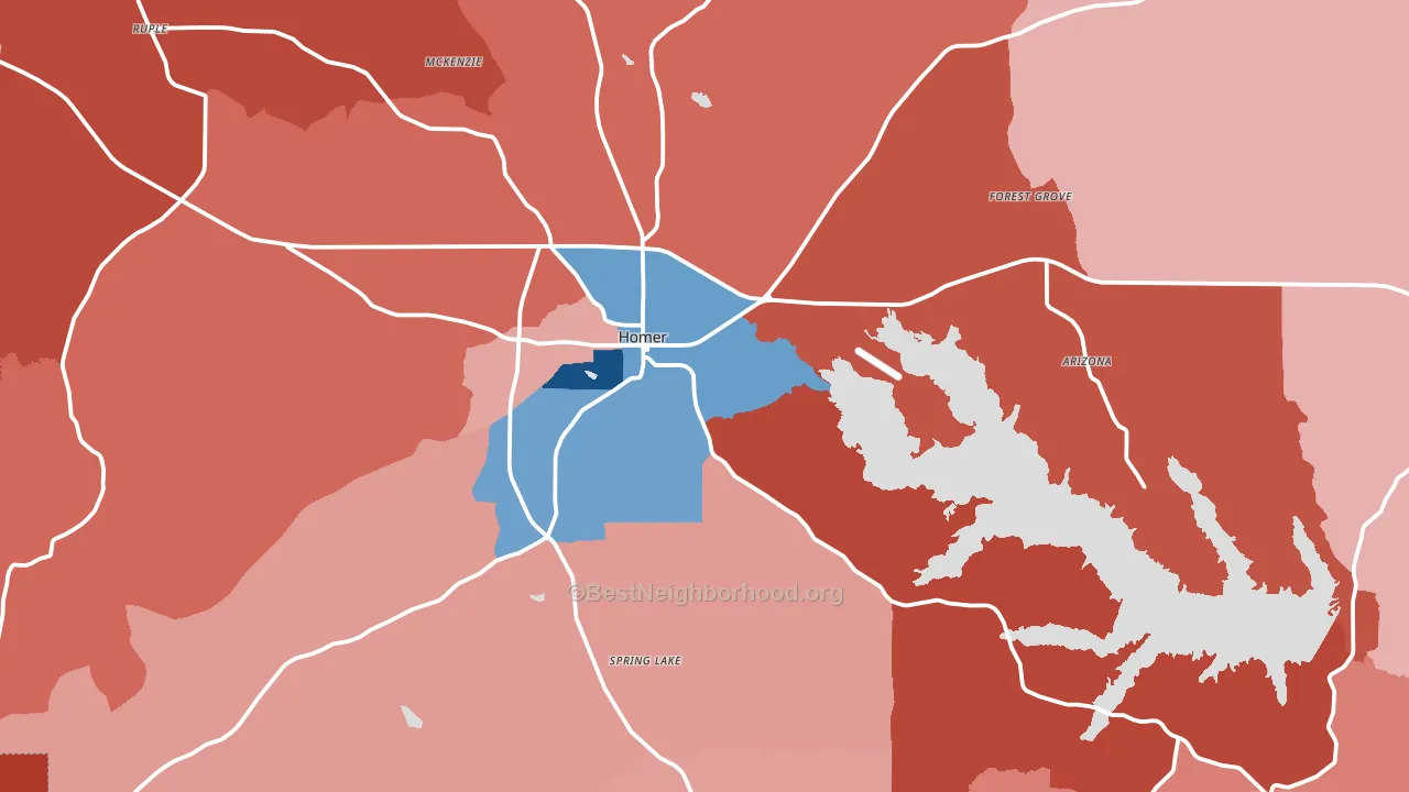 Homer, LA block-group political-lean map